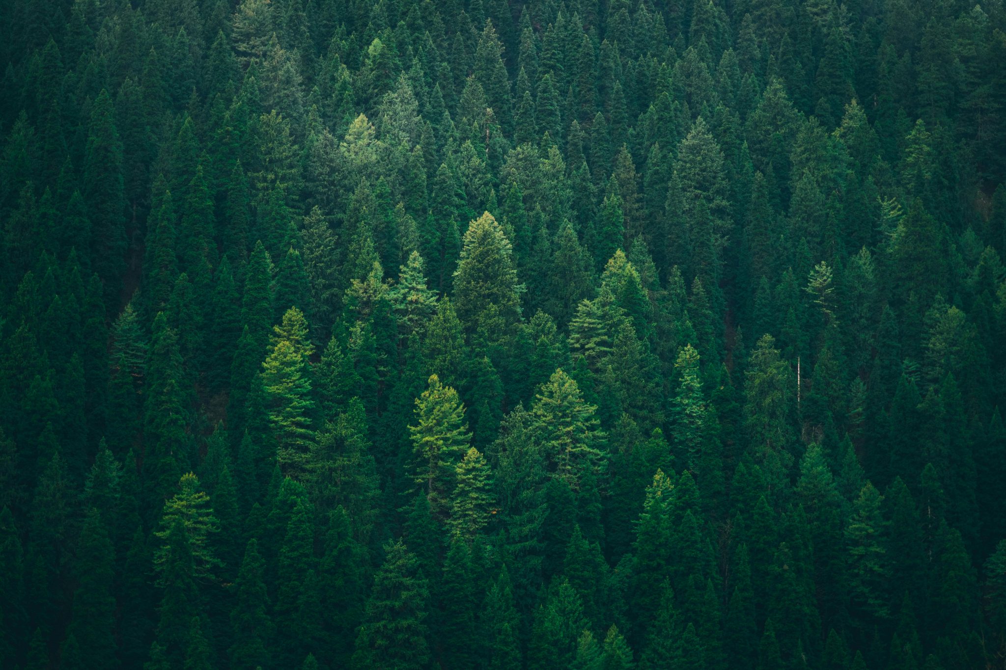 Ximen Mining Corp receives Water License for Kenville Gold Project ...